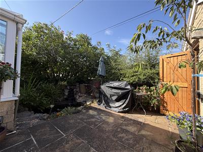 Picture 25